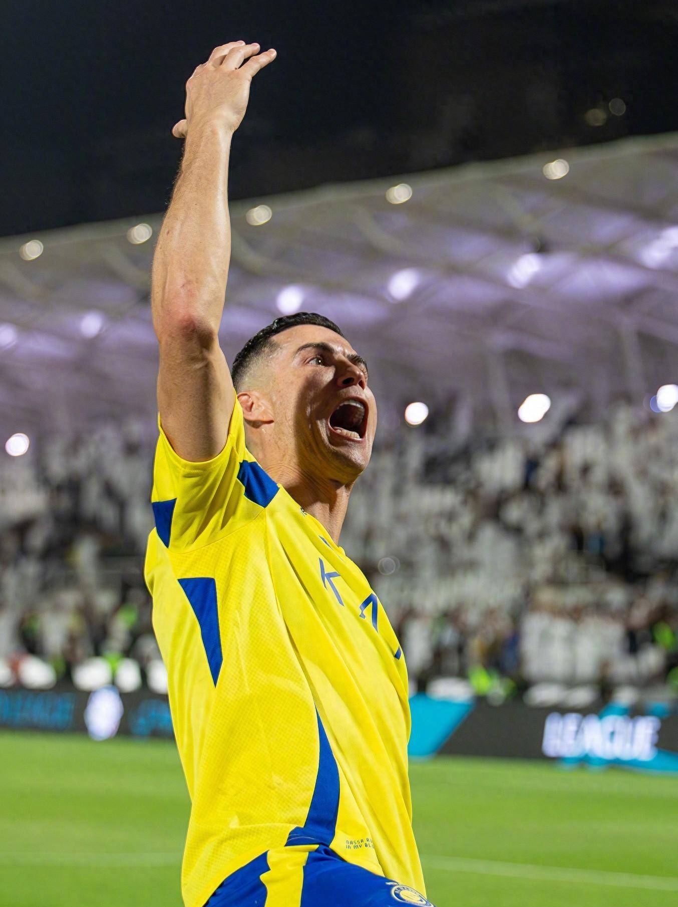 纽卡斯尔的 纽卡斯尔的